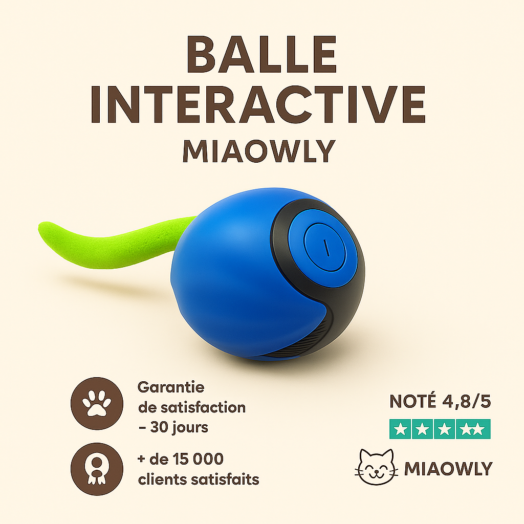 Miaowly Ball
